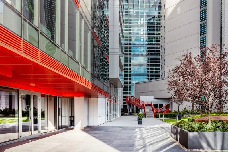 Signal Hill streetscape showing mature trees and established detached homes