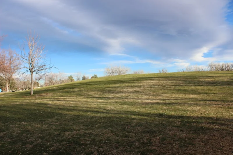 Battalion Park hillside with battalion numbers cut into the slope, mature trees in Signal Hill Calgary