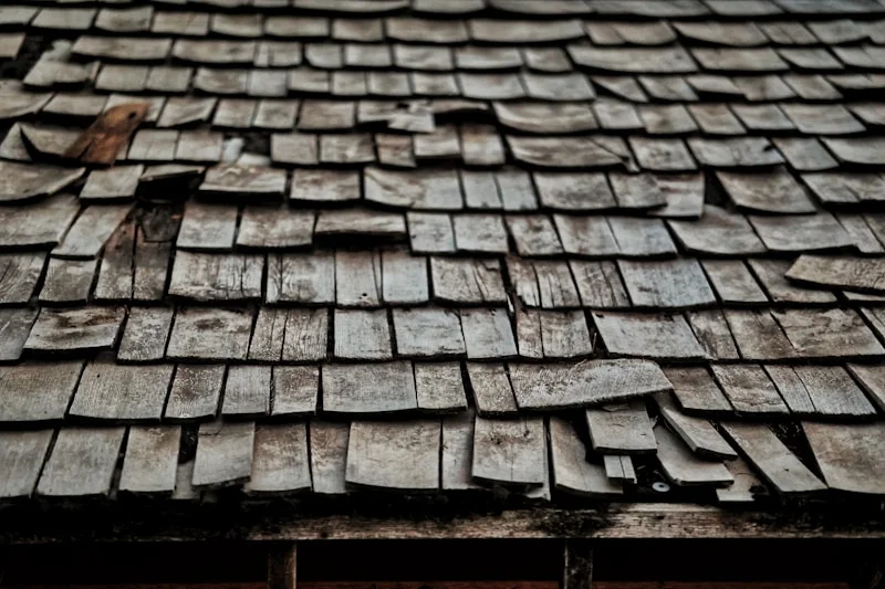Large hailstones on an asphalt shingle roof showing visible impact marks and surface damage