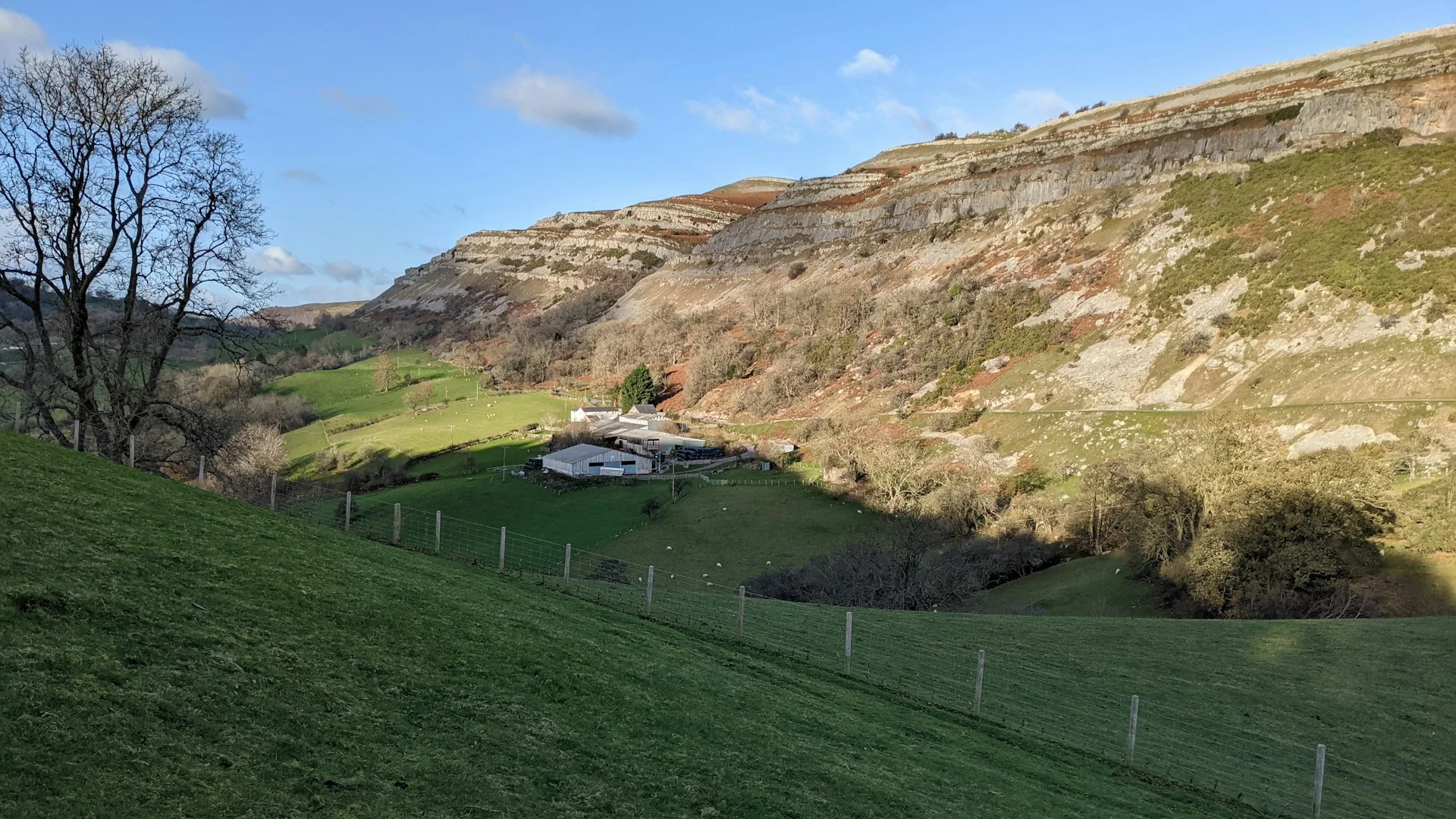 Battalion Park hillside with Signal Hill escarpment and distant Rockies visible at morning light