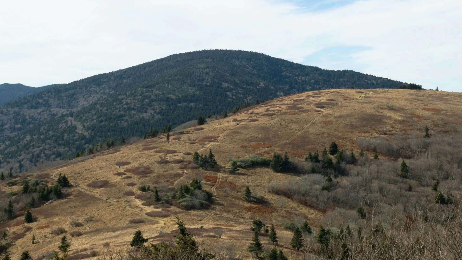 Signal Hill ridge at dusk with the Rockies visible in the background