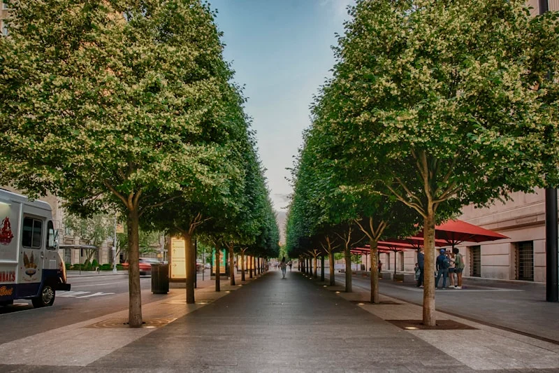 Westhills Towne Centre at street level showing walkable retail and established landscaping